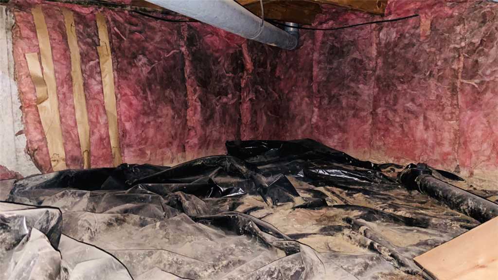 How to Check Your Crawl Space Insulation - Foundation Recovery Systems